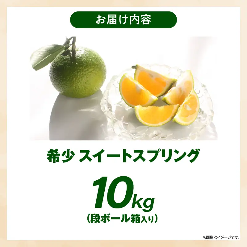 【先行予約】希少柑橘「スイートスプリング」10kg 果物 フルーツ くだもの 柑橘 オレンジ みかんジュース おすすめ プレゼント おすそ分け おやつ スイーツ デザート 常温 産地直送 宮崎県 綾町 送料無料【JA綾町】_A0114-2591