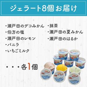 しまなみ・瀬戸田の ジェラート8個 アイス 尾道市 アイス