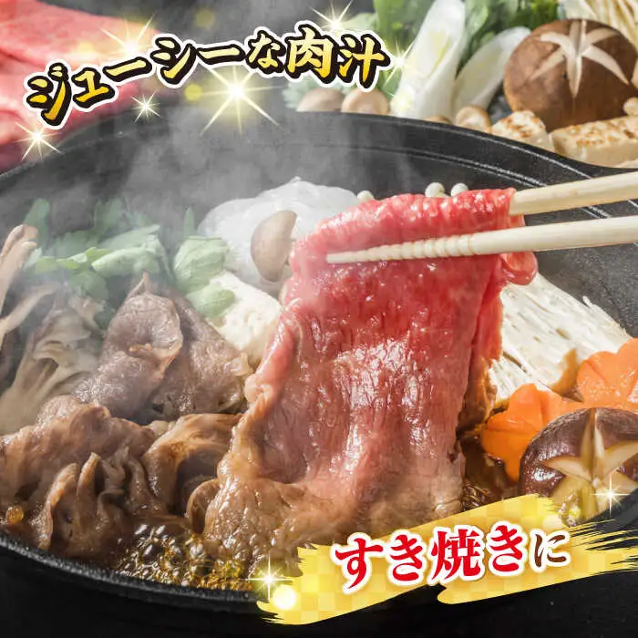 【全2回定期便】【訳あり】【A4～A5ランク】 長崎和牛 赤身 霜降り しゃぶしゃぶ・すき焼き用 600g（肩・モモ）《壱岐市》【株式会社MEAT PLUS】 肉 牛肉 黒毛和牛 冷凍配送 訳あり しゃぶしゃぶ用 すき焼用 A4 A5 [JGH091]