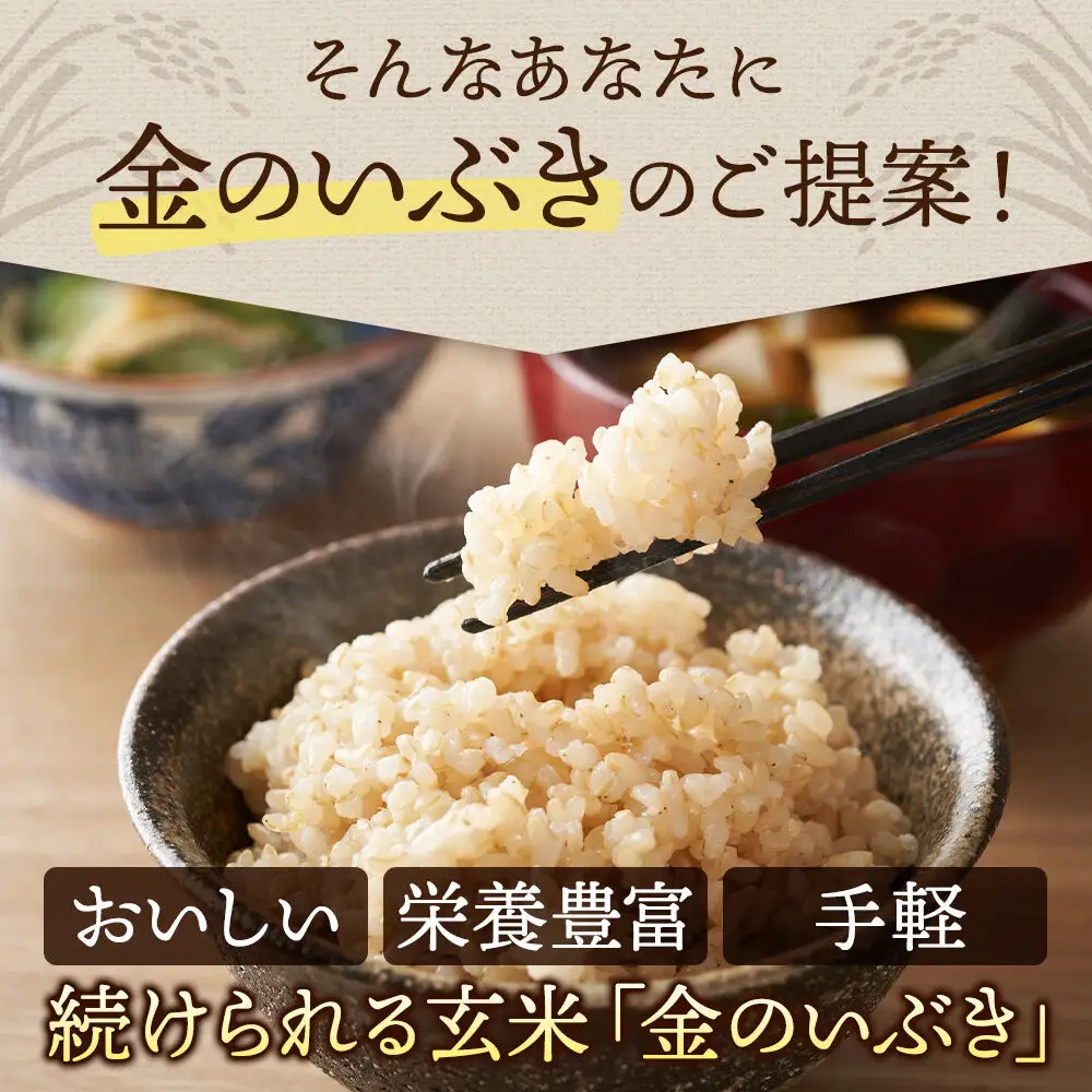 【玄米】米 金のいぶき 8kg(2kg×4袋) 令和7年産