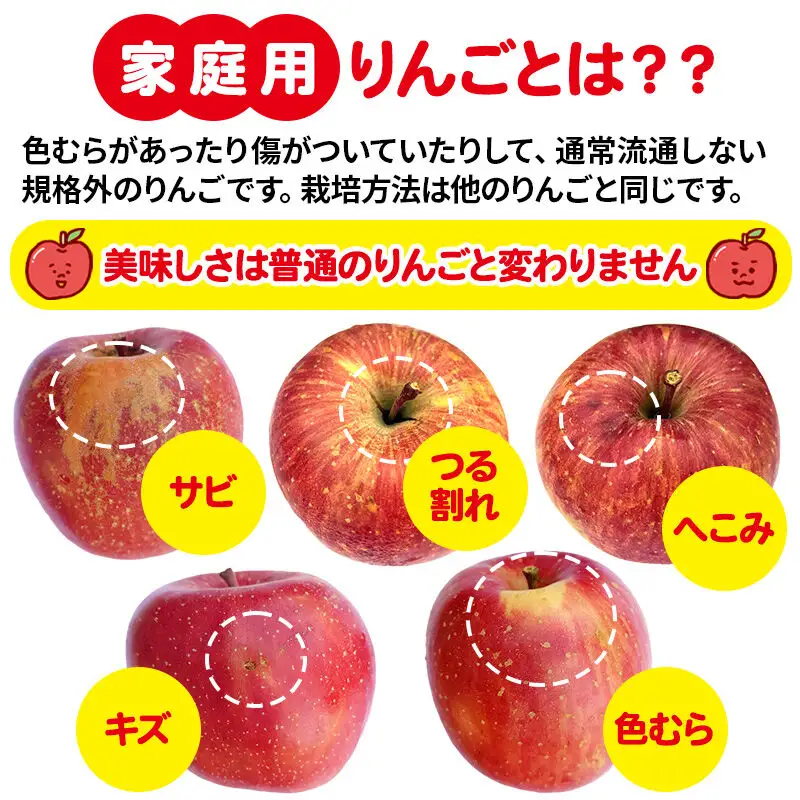 【先行受付】12月中旬より発送 サンふじ 【ご家庭用】約5kg（14～23玉）りんご 林檎