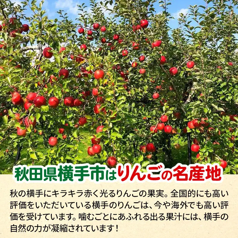 【先行受付】12月中旬より発送 サンふじ 【特秀】 約5kg（14～20玉）りんご 林檎