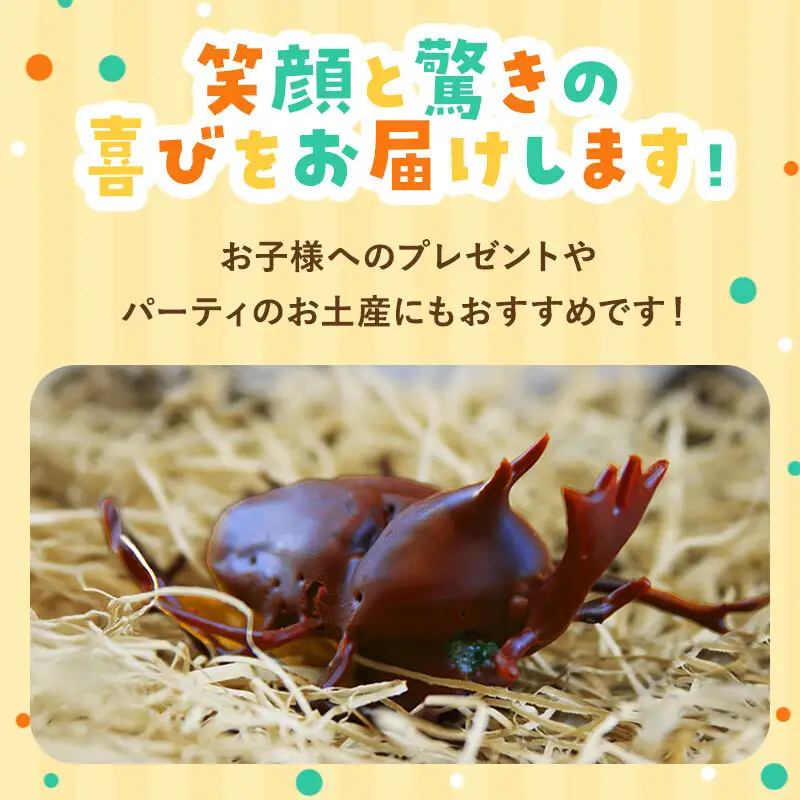カブトムシの成虫チョコレート＆クワガタチョコレート 小松屋本店 プレゼント インスタ映え お菓子 スイーツ チョコ チョコレート ギフト