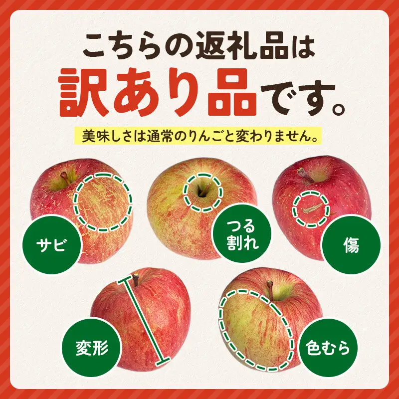 【先行受付】12月上旬より発送 【色ムラ・キズ等あり】樹上完熟サンフジ 約10kg（26～46玉前後）