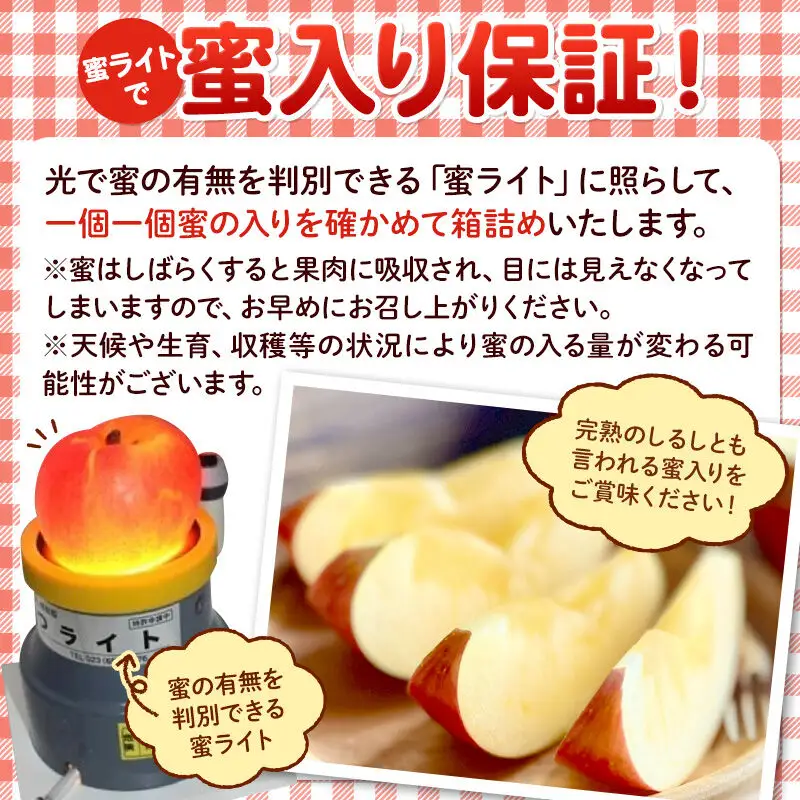 【先行受付】11月下旬より発送 《蜜ライトで蜜入り保証！》葉とらず完熟ふじ 約5kg りんご