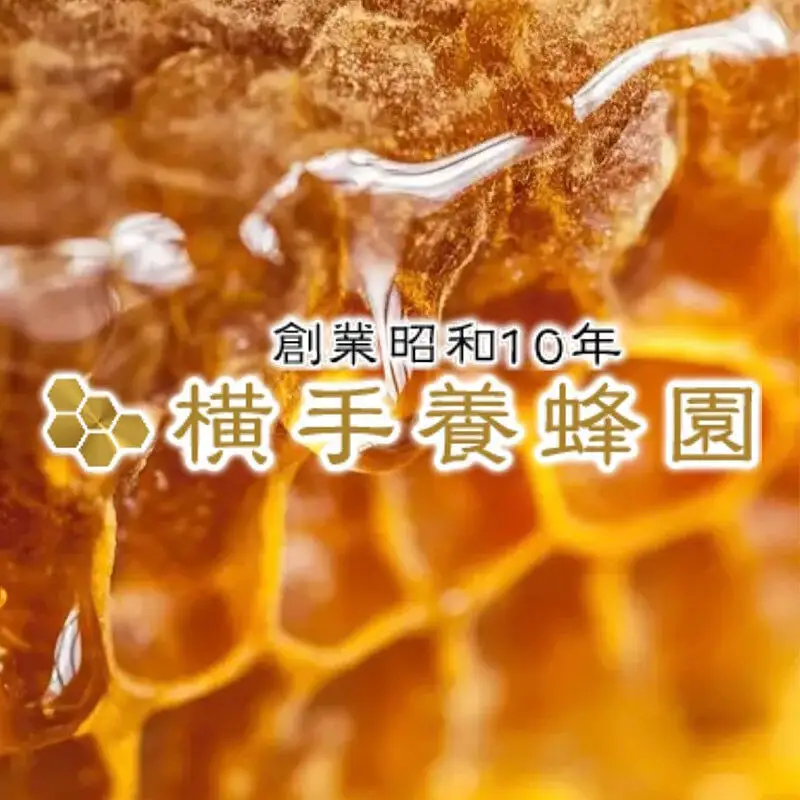 アカシアはちみつボトル 計600g（300g×2本）