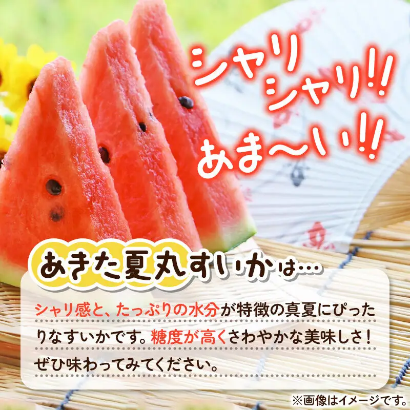 【先行受付】7月下旬より発送 秋田県横手市産 あきた夏丸すいか 2Lサイズ×2玉（1玉約8kg）