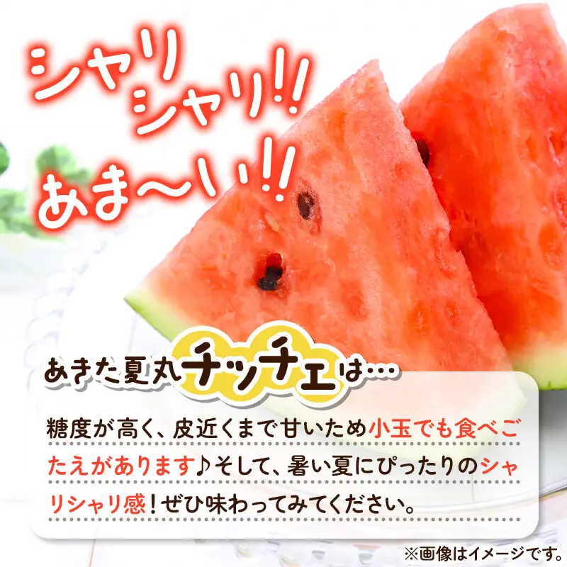 【先行受付】7月下旬より発送 秋田県横手市産 小玉すいか あきた夏丸チッチェ 約3kg×4玉セット