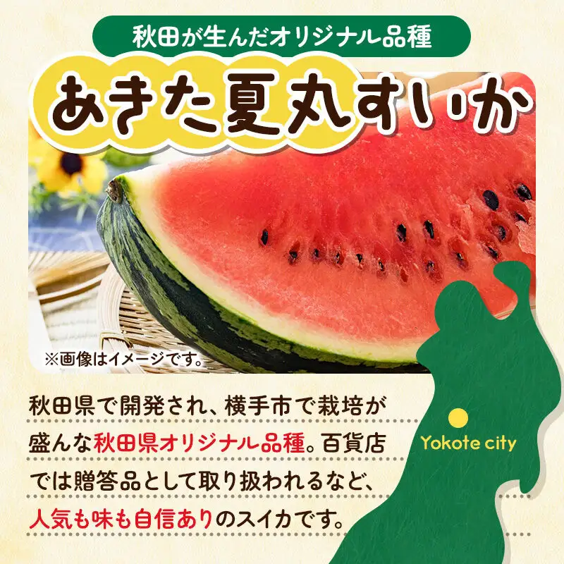 【先行受付】7月下旬より発送 秋田県横手市産 あきた夏丸すいか 5Lサイズ×1玉（約10～12kg）化粧箱入り