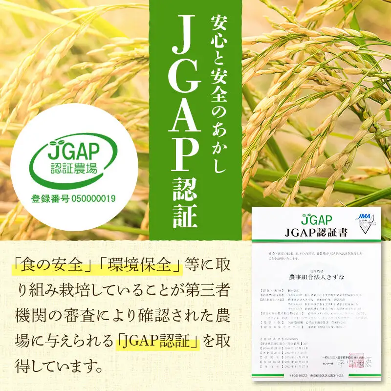【玄米】令和8年産 秋田県産 淡雪こまち 30kg(30kg×1袋) 【JGAP認証】【秋田県特別栽培農産物認証】