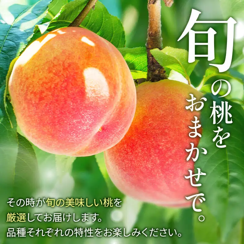 ＜先行受付 8月中旬より発送＞横手産の桃（大玉）約2kg（6個入）