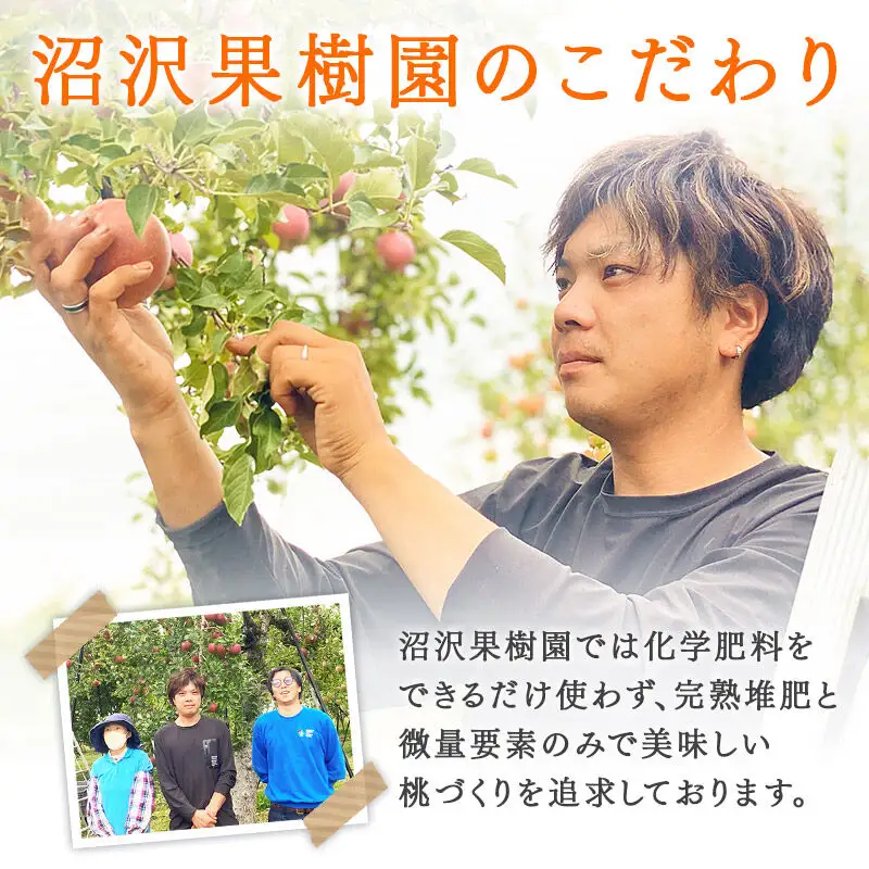 夏の太陽をたくさん浴びた桃 あかつき 約3kg（9～13玉前後）