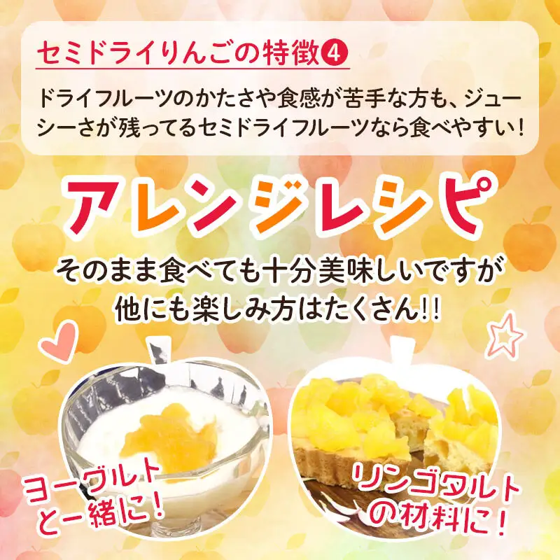 セミドライりんご「太陽のフジミツ」100g×10袋