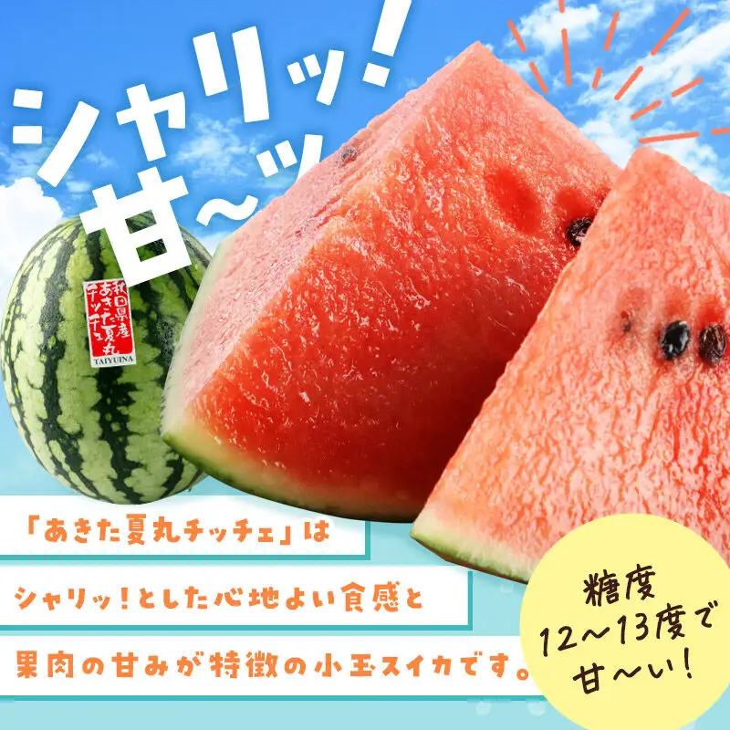 小玉すいか『あきた夏丸チッチェ』秋田県産 約2.1kg～2.7kg×2玉