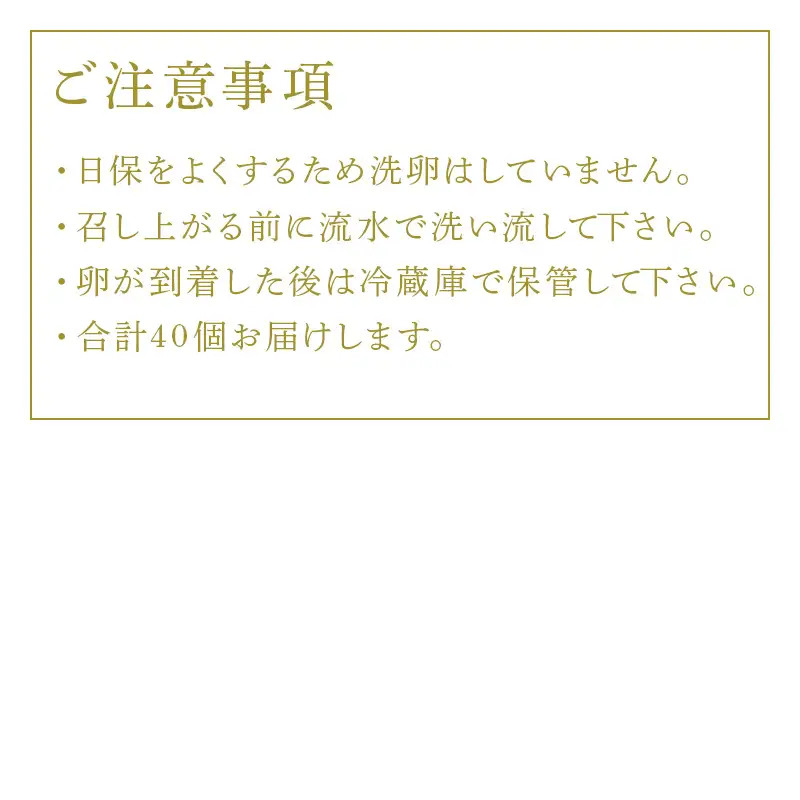 放し飼い！七山たまご 20個箱×2(合計40個) (大玉) 玉子 生卵 鶏卵 佐賀県唐津産