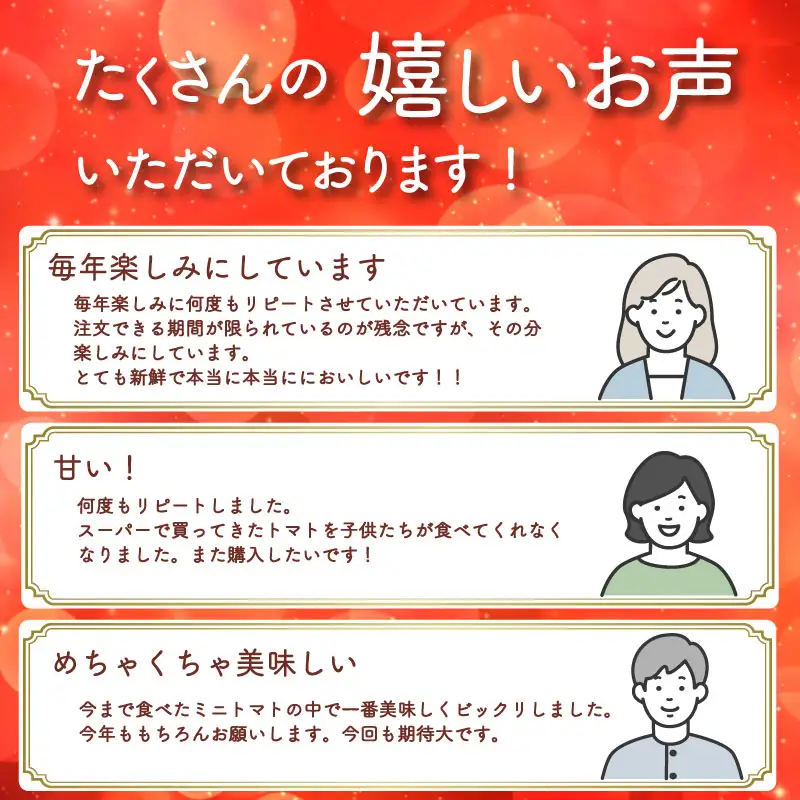 【定期便全3回】 フルーツミニトマト くれまるこ 1.2kg ミニトマト