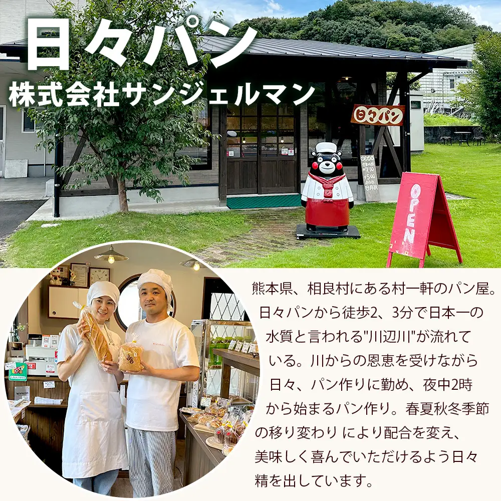【定期便 年6回】訳あり お試し パンセット 10個 パン 冷凍パン おやつ 朝食 食べ比べ 食パン 菓子パン 惣菜パン 人気 定期便 6回配送 冷凍 112-0505