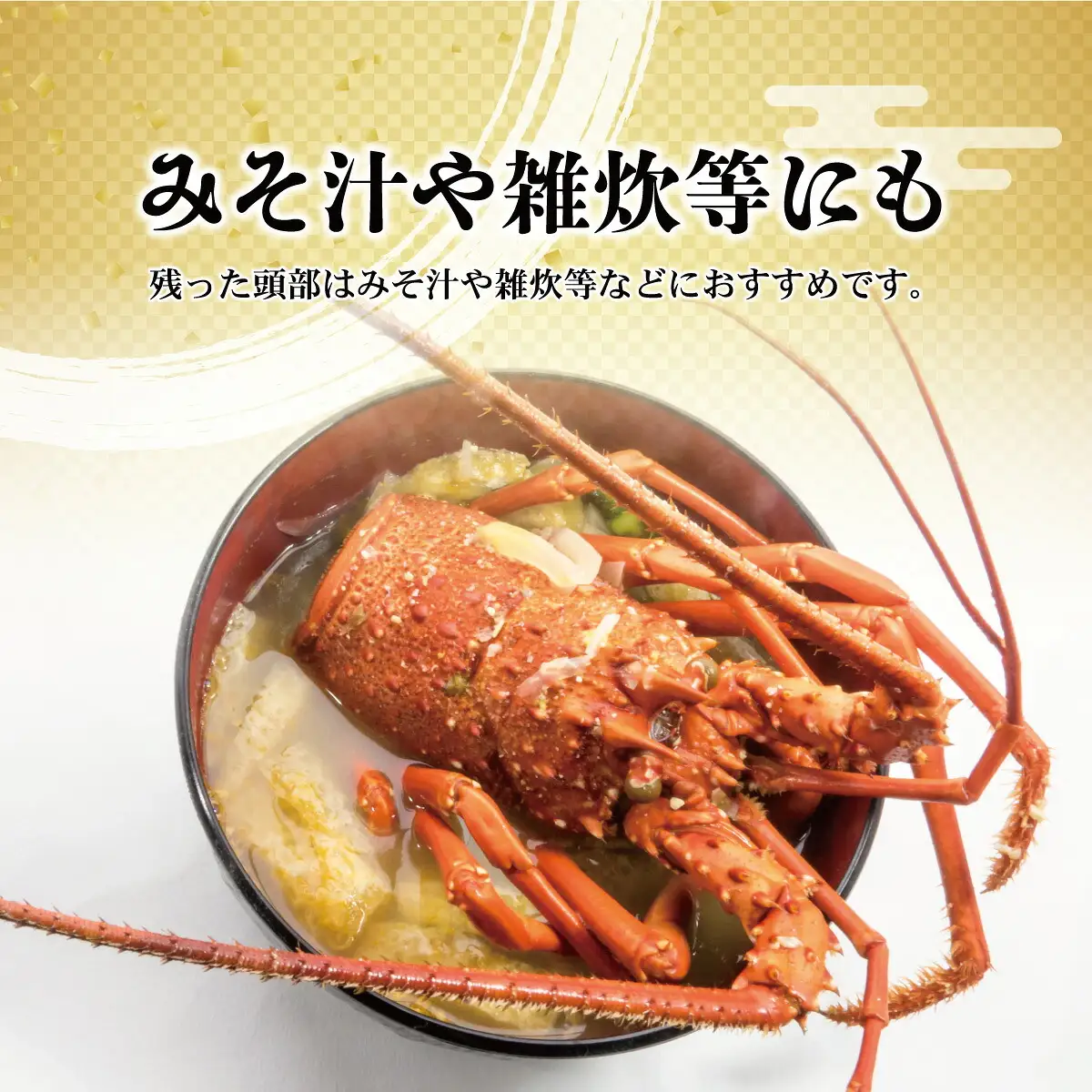 【先行予約】11月直送便 土佐獲れ 活伊勢海老 約700〜800g（2尾?4尾）  高知県土佐市 【株式会社とさもん】 [BQAE104]