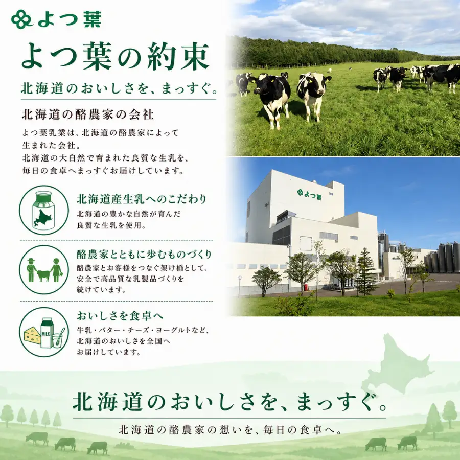 北海道十勝産 よつ葉おつまみチーズセット　ミニ 【  おすすめ ギフト セット  鹿追町 送料無料 】 SKA024