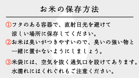 米  20kg 令和7年産 コシヒカリ 1月発送