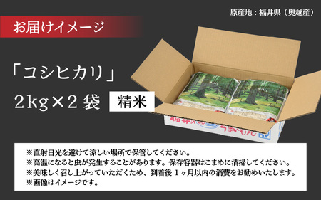 令和6年産 福井県産奥越コシヒカリ2kg ×2袋（計 4kg） [A-015019]