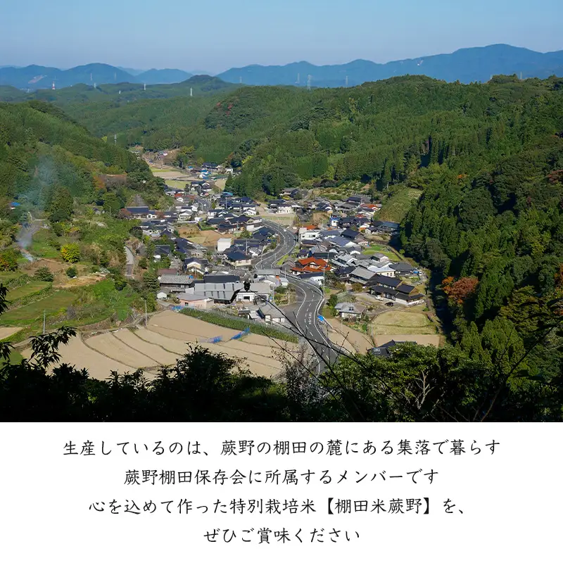 『先行予約』【令和8年産新米】特別栽培棚田米「蕨野」5kg×3袋(合計15kg) 家庭排水が一切入らない自然水で作られたお米 10日に1回精米で新米のような味わい