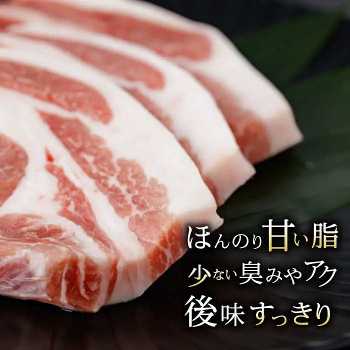 諫美豚 ロースステーキ 600g(100g×6枚) / 豚肉 ぶたにく ステーキ すてーき ロース ろーす テキカツ 焼肉 生姜焼き / 諫早市 / 株式会社土井農場 [AHAD087]