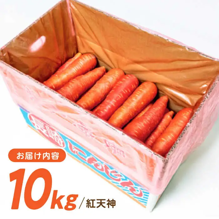 ※【2027年1月上旬より順次発送／先行予約】真っ赤なにんじん「紅天神」10kg AHCU002 にんじん