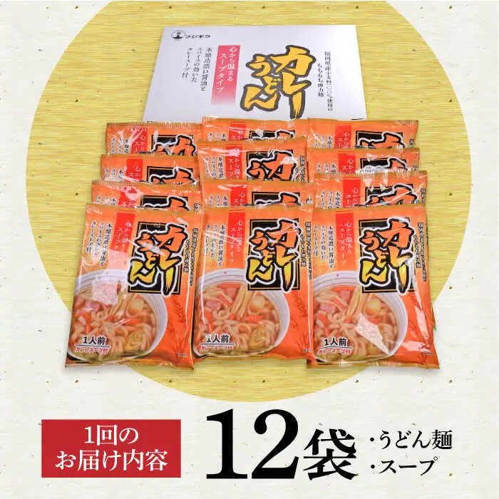 【全6回定期便】スープカレーうどん 12食 VAI072 カレーうどん