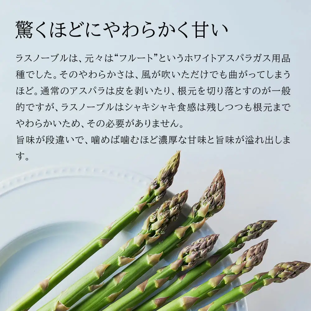 アスパラガス Lサイズ 2kg【令和9年産先行予約】北海道 ラスノーブル アスパラガス