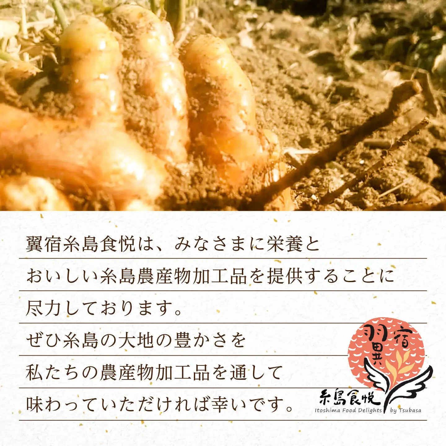 糸島ゴールデンウコン 粉末 100g 糸島市 / 翼宿糸島食悦 秋ウコン ターメリック [AJO001]