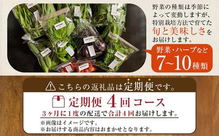 【定期便全4回】旬の採れたて 7～10種類 お野菜  詰め合わせ セット TAGATAME タガタメ【野菜 特別栽培 有機野菜 農薬不使用 無農薬】