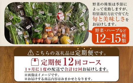【定期便全12回】旬の採れたて 12～15種類 お野菜   詰め合わせ セット (3～4名様) TAGATAME タガタメ【野菜 特別栽培  有機野菜 農薬不使用 旬 無農薬】