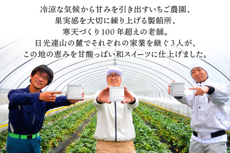 日光いちごミルクあんみつ 6個 [0999]
