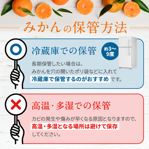 温州みかん「草枕」約4kg