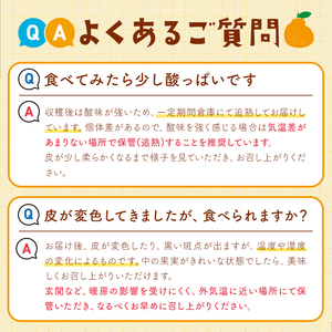 デコポン 約5kg