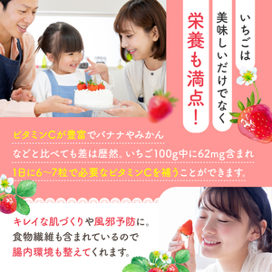 いちご「ゆうべに」500g（250g×2パック）
