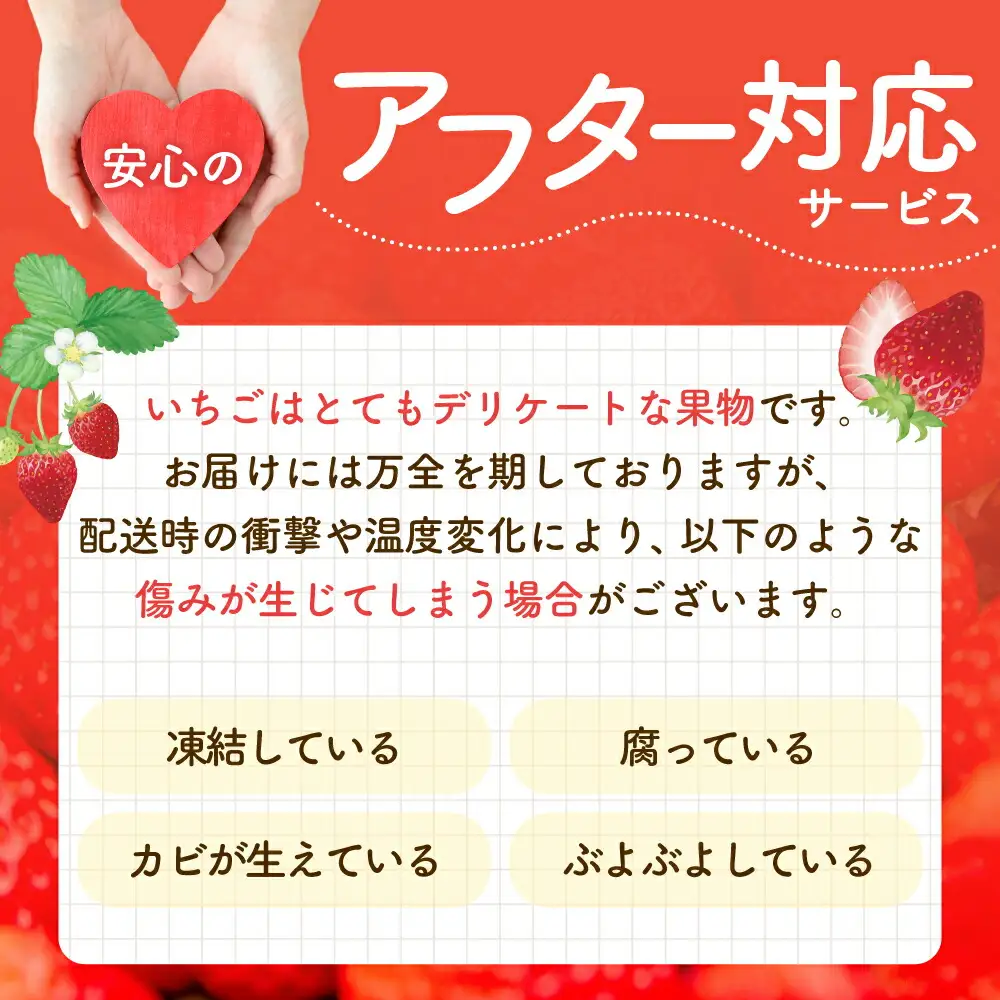 【全3回定期便】淡雪・さがほのか 紅白いちごセット 計1.32kg （220g×2パック×3回） / 佐賀県 いちご / 岸川農園 [41ASAG006]
