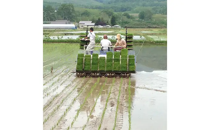 ななつぼし 産直米 精米 北海道産 ななつぼし【5kg】