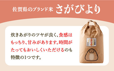 【15年連続最高評価特A受賞】令和6年産 さがびより 無洗米 10kg 特別栽培米 /江口農園 [UBF032]