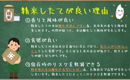 ひとめぼれ 5分づき精米 令和7年産 盛岡市産 5kg×2 美味しさ欲ばる人へ 新鮮 発送日精米 1等米のみを使用したお米マイスター監修の米 お米 白米 精米 ブランド米 産地直送 岩手県 盛岡市 東北 岩手 盛岡 有限会社村上米穀店