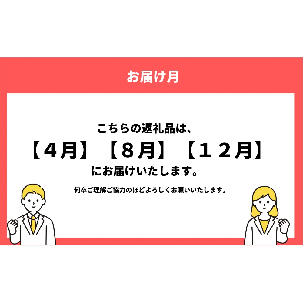 【年間3回定期便】『ホタルイカ』『白えび』『氷見ぶり』季節の味と熟練職人手捌きの一夜干真空パックセット