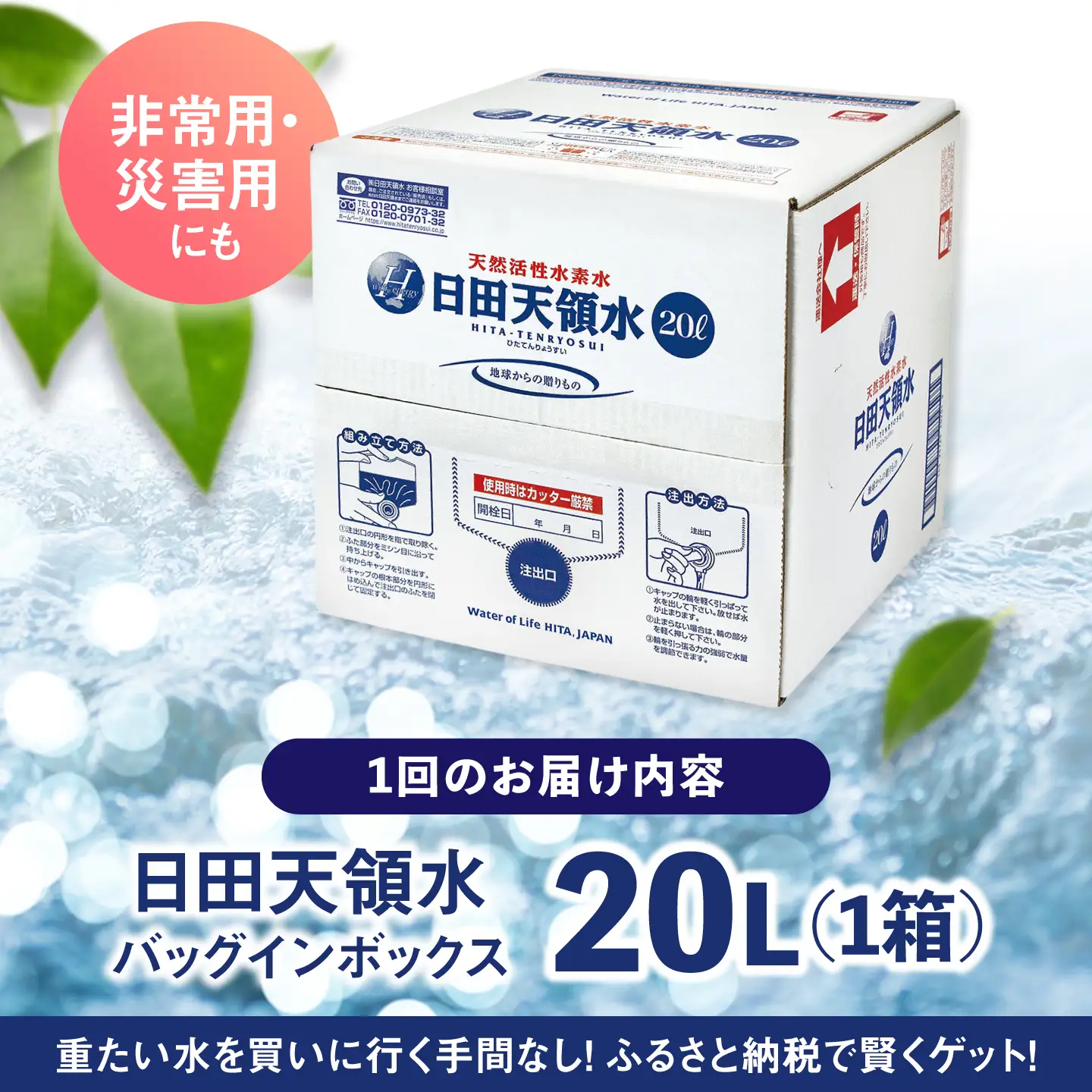 【全9回定期便】日田天領水 20L×1箱 天然水 備蓄 防災 ミネラルウォーター シリカ [AREG013]