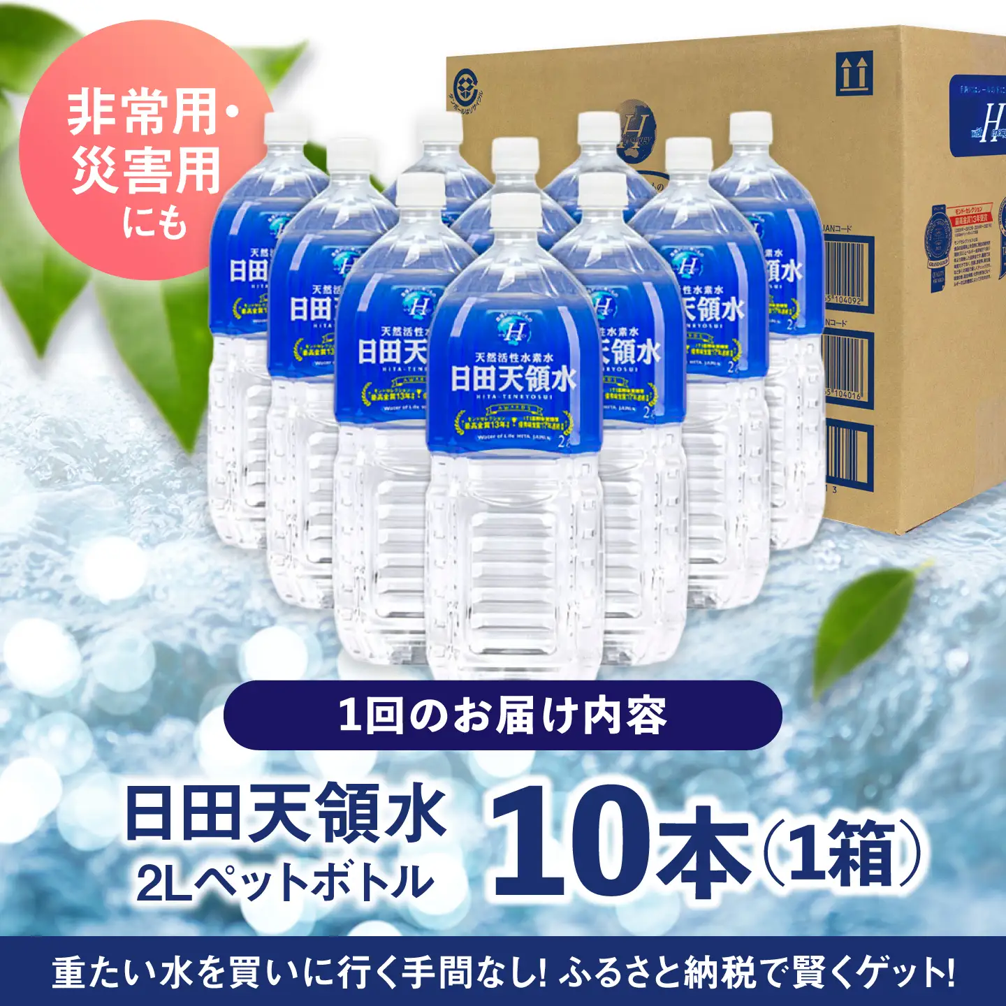 【全12回定期便】日田天領水 2L×10本 天然水 備蓄 防災 ミネラルウォーター シリカ [AREG022]