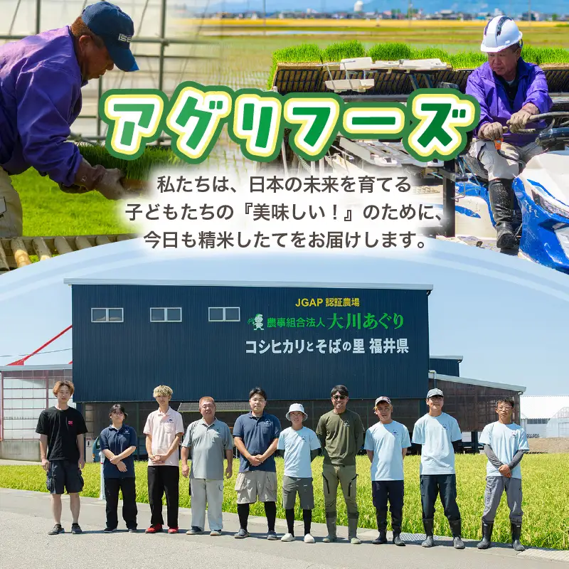 こしひかり 5kg 令和7年産 精米 ブランド米 コシヒカリ [A-10812]