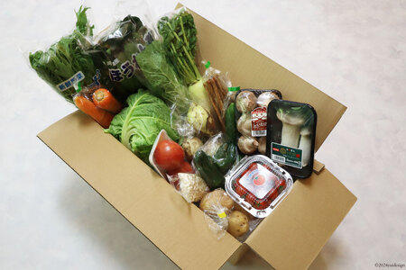 AI023【10～5月限定出荷】こむたの旬の野菜つめあわせ(13～15品目)おまかせ L セット 