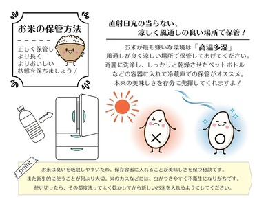 令和6年産   【定期便6回】 ひのひかりとくまさんの輝き食べ比べ 白米 10kg | 小分け 5kg × 2袋  熊本県産 特A獲得品種 米 白米 ごはん 銘柄米 ブランド米 単一米 人気 日本遺産 菊池川流域 こめ作り ごはん ふるさと納税 返礼品