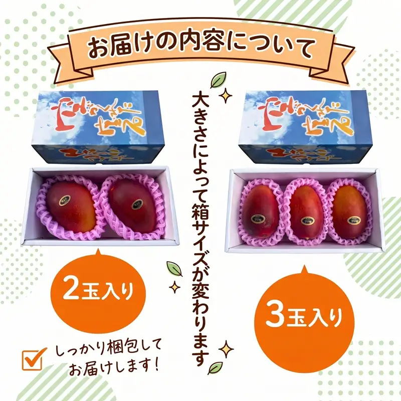 【早期予約】 マンゴー 秀品 2 ~ 3玉 1箱 ( 900g ) 