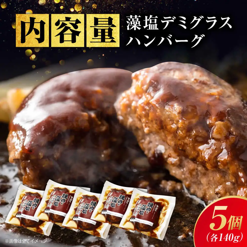 【スピード発送】和牛入り藻塩ハンバーグ(デミグラス) 5個セット [BAFK003]ハンバーグ