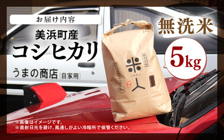 令和8年産 コシヒカリ 5kg【無洗米】 [m25-a007_02]